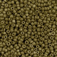Seed beads 11/0 (2mm) Olive green